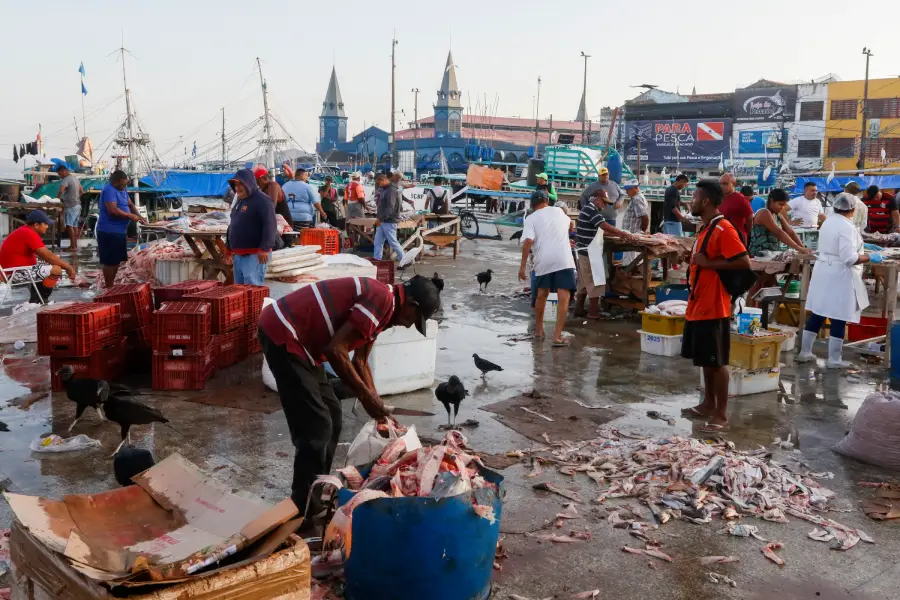 O cheiro forte dos peixes descartados e o lixo orgânico compõem o cenário da Praça do Relógio. A população em situação de rua, que ali busca refúgio, é obrigada a conviver com restos do mercado. Foto: Oswaldo Forte/Amazônia Latitude.