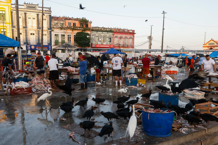A ausência de políticas públicas estruturadas transforma a sobrevivência em uma sucessão de violações, onde a população invisibilizada convive com lixo, ratos e condições desumanas. Foto: Oswaldo Forte/Amazônia Latitude.