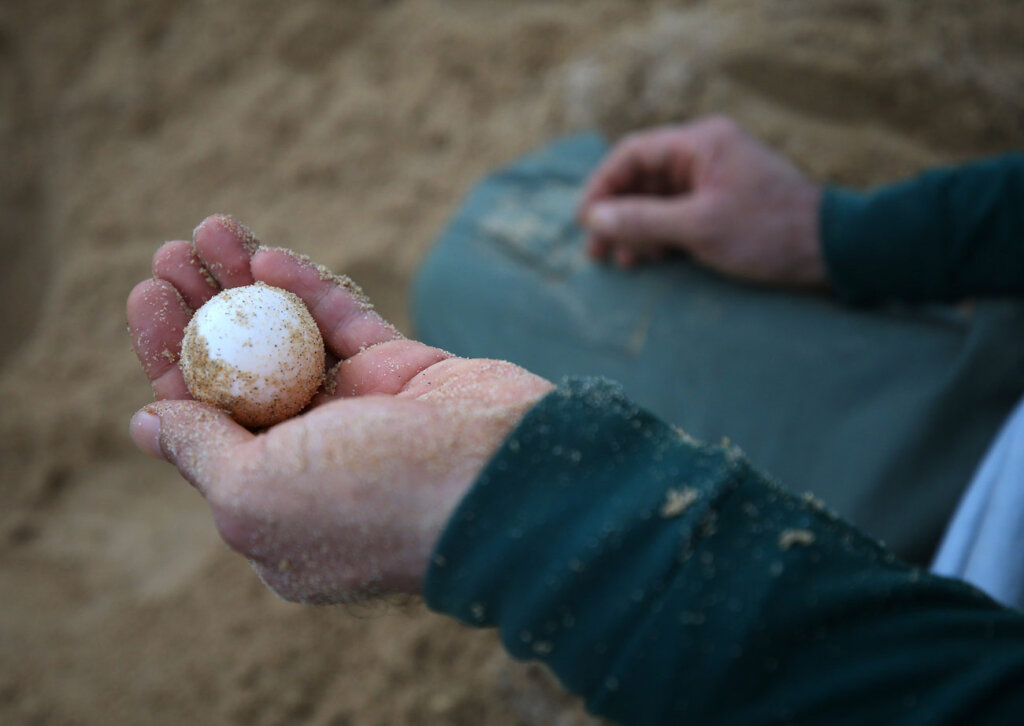 nimble_asset_12Edmar-BarrosMarcos-Colon