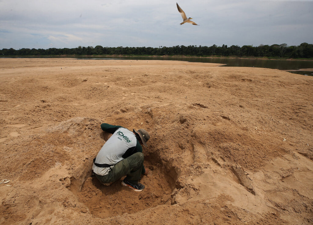 nimble_asset_14Edmar-BarrosMarcos-Colon