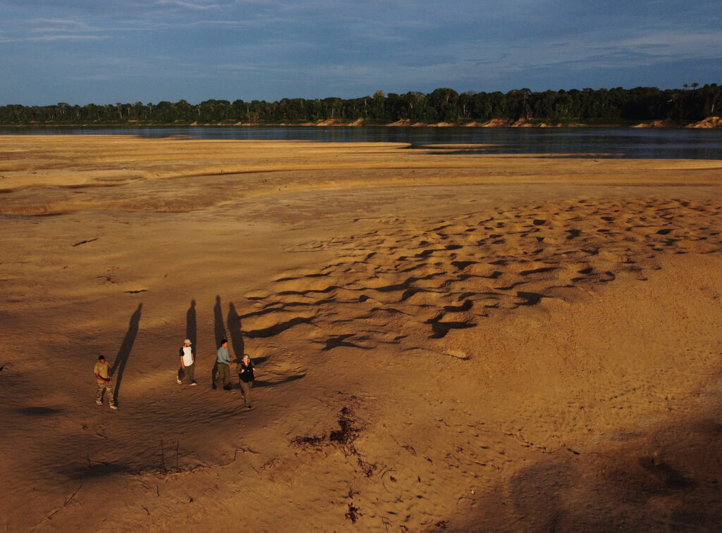 nimble_asset_1Edmar-BarrosMarcos-Colon