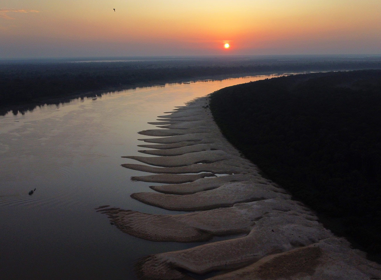 nimble_asset_2Edmar-BarrosMarcos-Colon