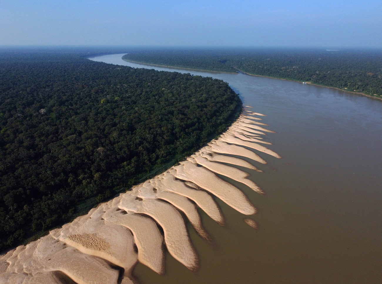 nimble_asset_5Edmar-BarrosMarcos-Colon