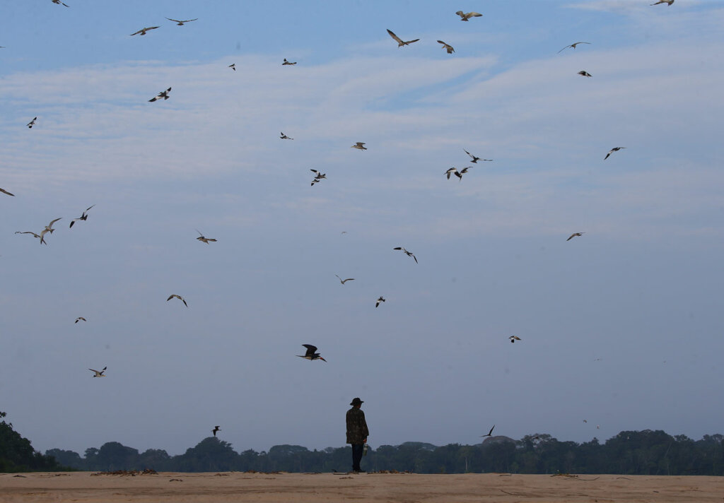 nimble_asset_76Edmar-BarrosMarcos-Colon