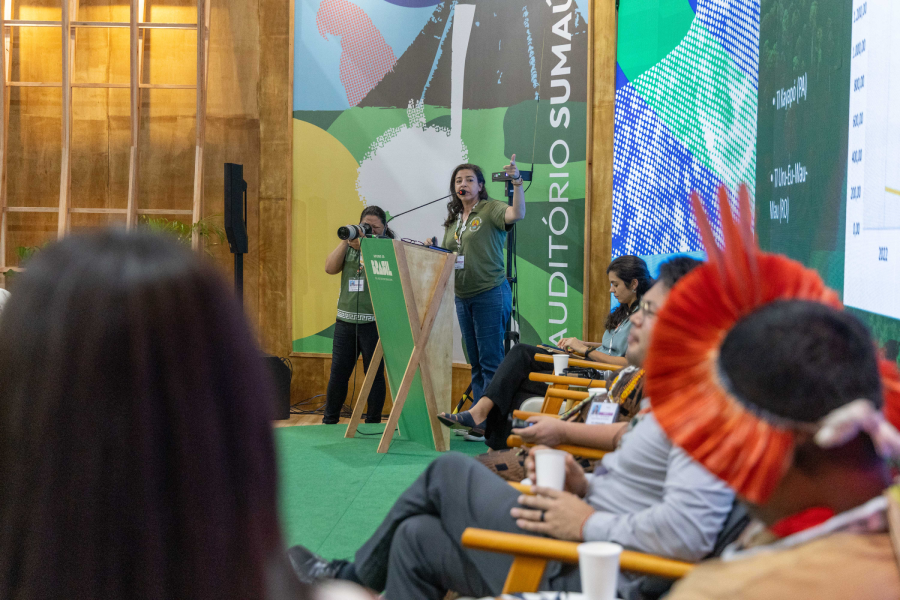 Janete Carvalho, diretora Funai. Foto: Douglas Pingituro/MMA