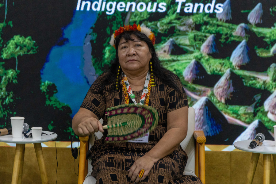 Joenia Wapichana, presidente Funai. Foto: Douglas Pingituro/MMA