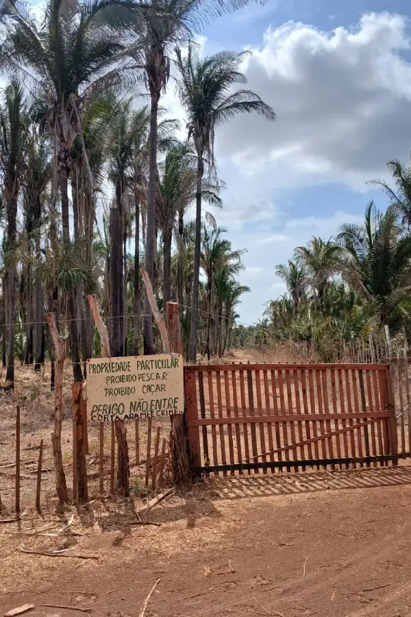 A cerca e a placa em frente ao babaçual simbolizam a guerra territorial e a afronta direta à luta das quebradeiras que defendem o direito de acesso ao recurso natural para subsistência. Foto: Hélia Costa.