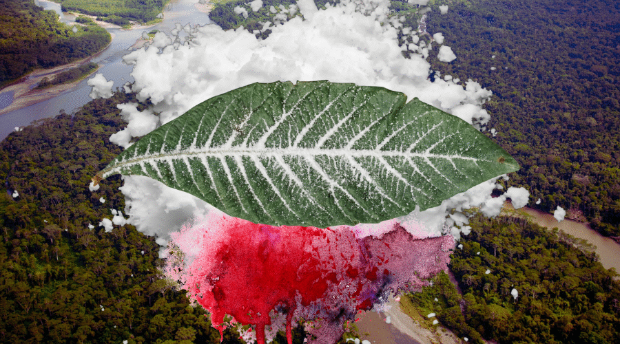O narcotráfico e as políticas de drogas repressivas estão destruindo os territórios e o clima na Amazônia. A região sangra sob o impacto do crime organizado e da ineficácia do Estado. Imagem: Fabrício Vinhas/Amazônia Latitude.