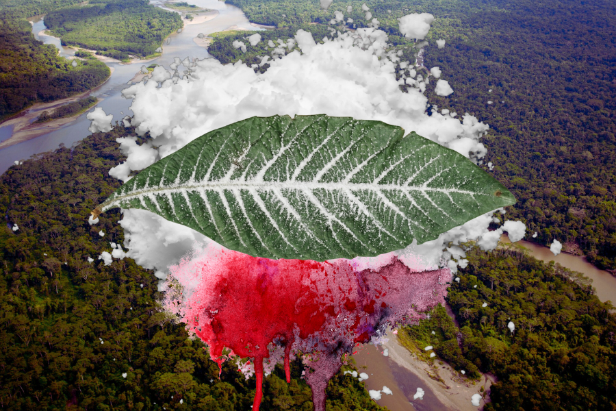 O narcotráfico e as políticas de drogas repressivas estão destruindo os territórios e o clima na Amazônia. A região sangra sob o impacto do crime organizado e da ineficácia do Estado. Imagem: Fabrício Vinhas/Amazônia Latitude.
