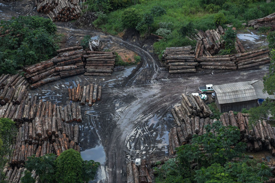 Além do domínio de rotas, o avanço do narcotráfico exigiu o controle de território, o que levou à sinergia com outras economias ilícitas já estabelecidas na floresta, como o garimpo, desmatamento e contrabando de madeiras e grilagem de terras. Foto: IBAMA.