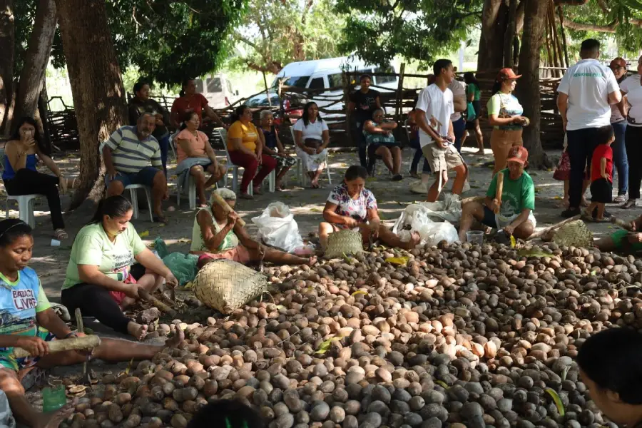 O crime contra Antônia e Marly é percebido como uma tentativa de desarticular a organização comunitária e silenciar a voz das mulheres que defendem o território, sendo um ataque com clara dimensão de gênero. Foto: MIQCB.