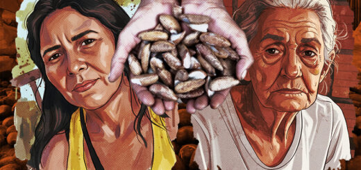 Antônia Ferreira dos Santos (53) e Marly Viana Barroso (71) foram brutalmente assassinadas no Pará, em um crime que movimentos sociais denunciam ser um "recado escrito com sangue" contra a luta pelo livre acesso aos babaçuais. Imagem: Fabrício Vinhas/Amazônia Latitude.