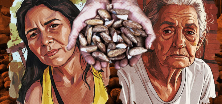 Antônia Ferreira dos Santos (53) e Marly Viana Barroso (71) foram brutalmente assassinadas no Pará, em um crime que movimentos sociais denunciam ser um "recado escrito com sangue" contra a luta pelo livre acesso aos babaçuais. Imagem: Fabrício Vinhas/Amazônia Latitude.