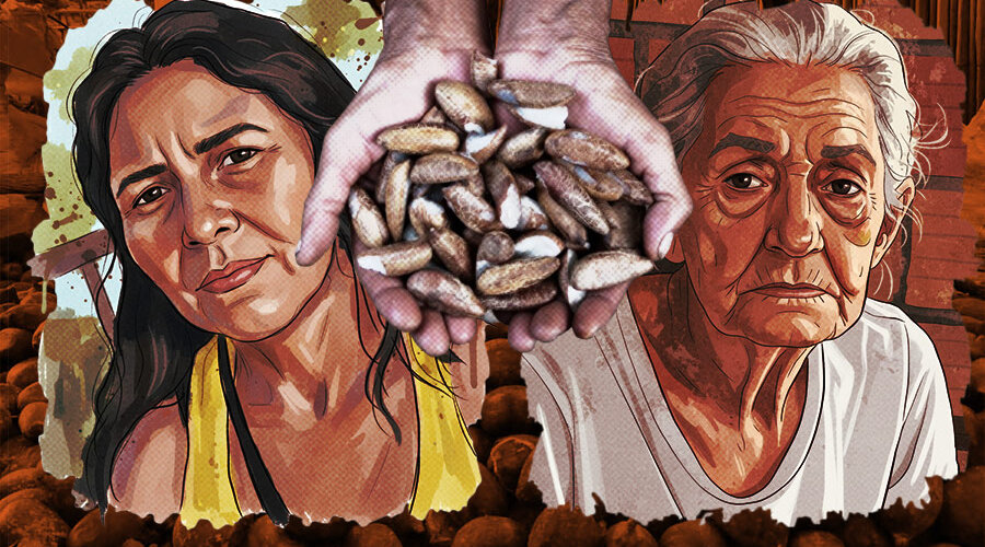 Antônia Ferreira dos Santos (53) e Marly Viana Barroso (71) foram brutalmente assassinadas no Pará, em um crime que movimentos sociais denunciam ser um "recado escrito com sangue" contra a luta pelo livre acesso aos babaçuais. Imagem: Fabrício Vinhas/Amazônia Latitude.