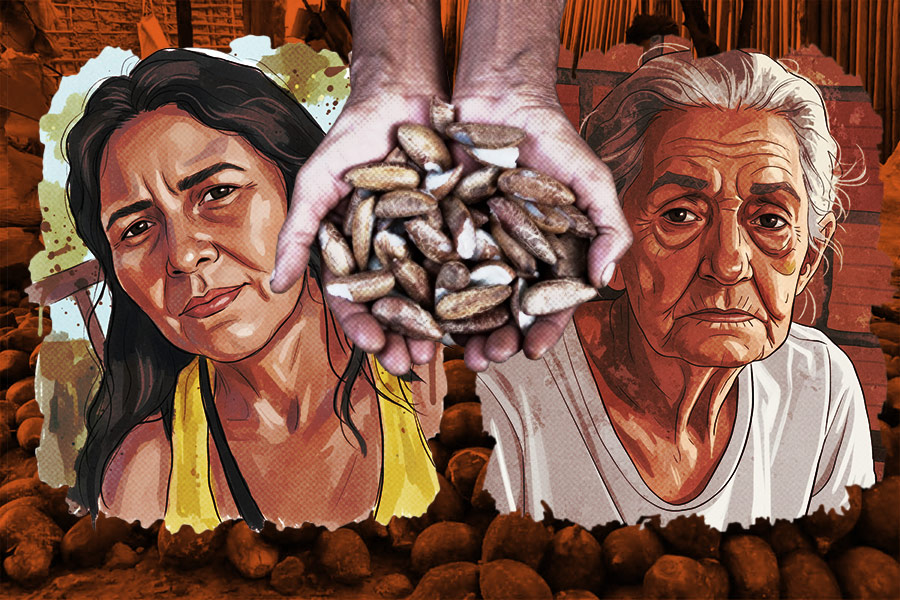 Antônia Ferreira dos Santos (53) e Marly Viana Barroso (71) foram brutalmente assassinadas no Pará, em um crime que movimentos sociais denunciam ser um "recado escrito com sangue" contra a luta pelo livre acesso aos babaçuais. Imagem: Fabrício Vinhas/Amazônia Latitude.