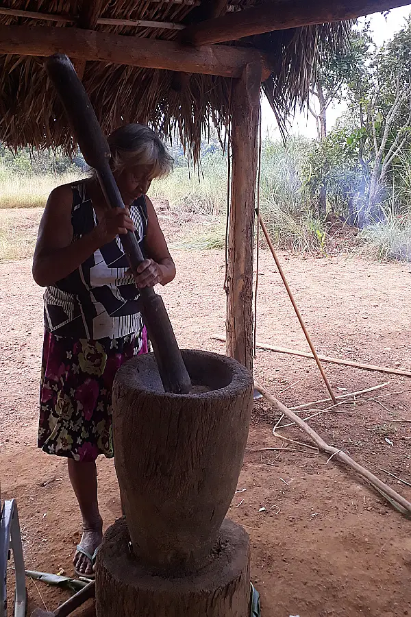 Enedina Xerente pilando a mandioca para a produção do Kupakro (um tipo de farinha). O domínio dessa técnica tradicional é um dos pilares do patrimônio alimentar Akwẽ. Foto: Luana Oliveira.