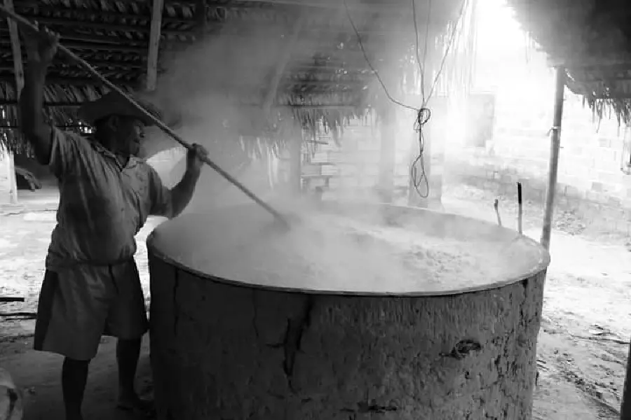 O laboratório de transformação onde o fogo aquece a farinha e a vida. O ralar, prensar e torrar são atos de afirmação da identidade territorial e soberania alimentar. Foto: Miguel Pincanço/Amazônia Latitude.