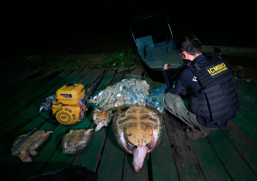 nimble_asset_15Edmar-BarrosMarcos-Colon-ok