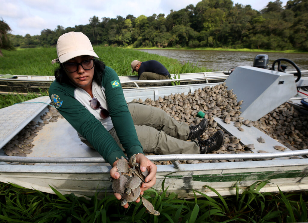 nimble_asset_EEBF0216