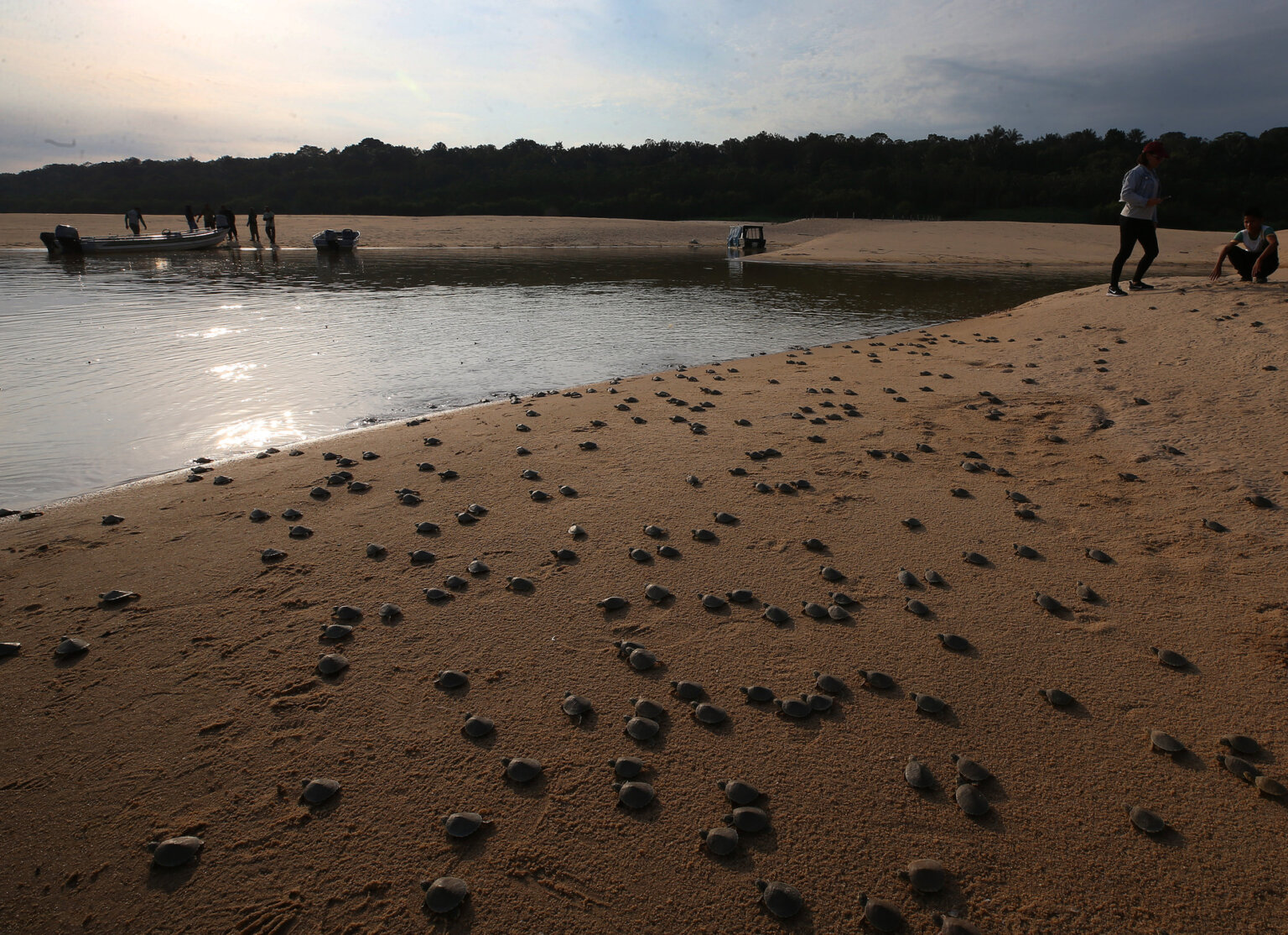 nimble_asset_EEBF0396