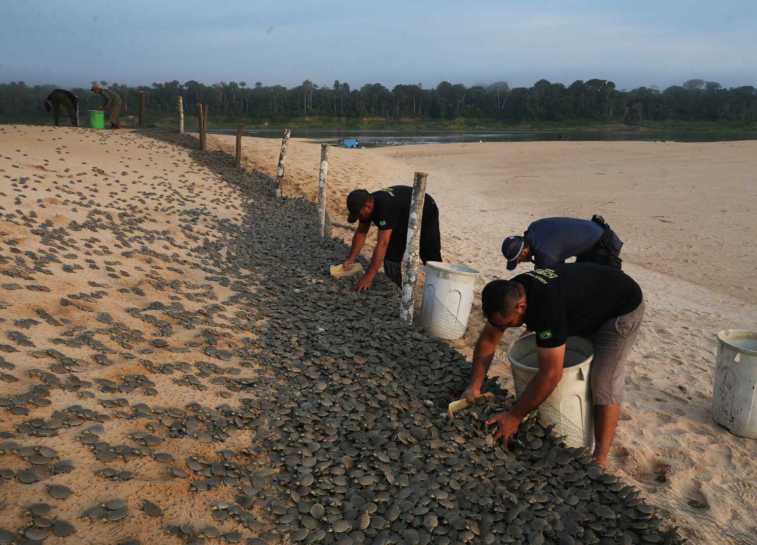 nimble_asset_EEBF9371