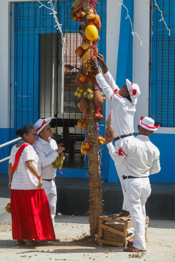 Marujos enfeitam o mastro de São Benedito, elemento simbólico da festividade que marca devoção, proteção e ligação entre o sagrado e o território. Foto: Oswaldo Forte/Amazônia Latitude. 