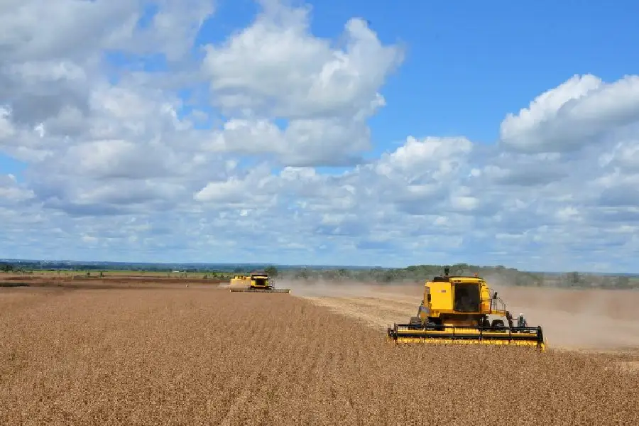 A imagem do 'desenvolvimento': Colheitadeiras operam em escala industrial no Mato Grosso. É este modelo de monocultura extensiva e alta mecanização que o agronegócio brasileiro projeta reproduzir na Chiquitania boliviana. Foto: Álvaro Rezende/Agência de Notícias MT.