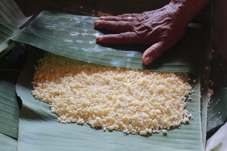 Envoltos em folhas de bananeira ou sororoca, os beijus são preparados para o forno, unindo a materialidade da terra ao simbolismo do tempo santo. Foto: Miguel Picanço/Amazônia Latiude.