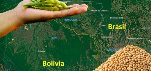 O avanço do complexo soja sobre o leste boliviano redesenha o mapa da América do Sul, transformando a Chiquitania e o Beni em extensões do modelo produtivo do Mato Grosso e Rondônia. Arte: Fabrício Vinhas/Amazônia Latitude.