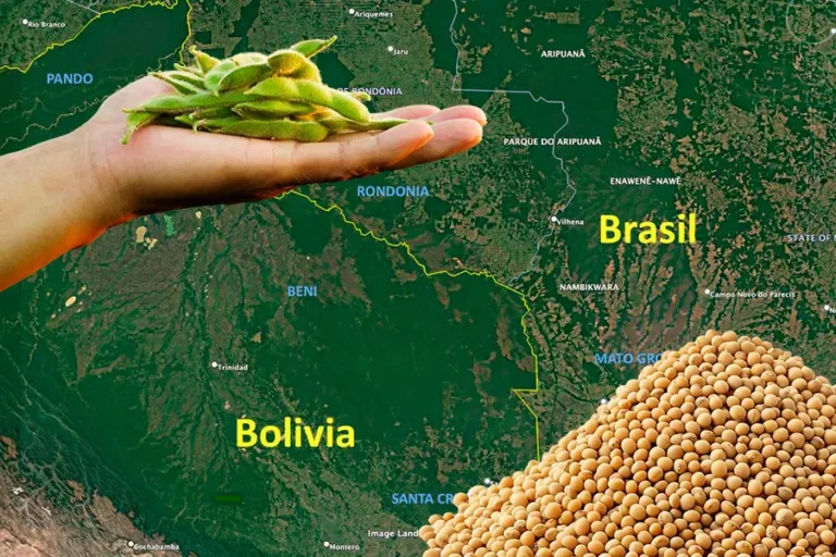 O avanço do complexo soja sobre o leste boliviano redesenha o mapa da América do Sul, transformando a Chiquitania e o Beni em extensões do modelo produtivo do Mato Grosso e Rondônia. Arte: Fabrício Vinhas/Amazônia Latitude.