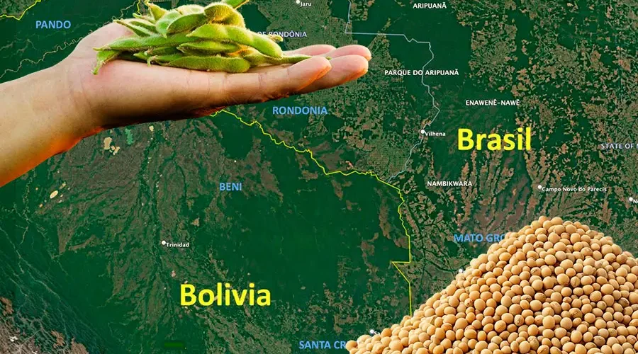 O avanço do complexo soja sobre o leste boliviano redesenha o mapa da América do Sul, transformando a Chiquitania e o Beni em extensões do modelo produtivo do Mato Grosso e Rondônia. Arte: Fabrício Vinhas/Amazônia Latitude.