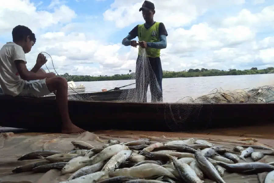 O sustento que vem das fendas. Explodir o pedral significa estilhaçar o ciclo da vida: o peixe que nasce na rocha e a canoa que nela encontra abrigo. Foto: Eva Moraes/Amazônia Latitude.