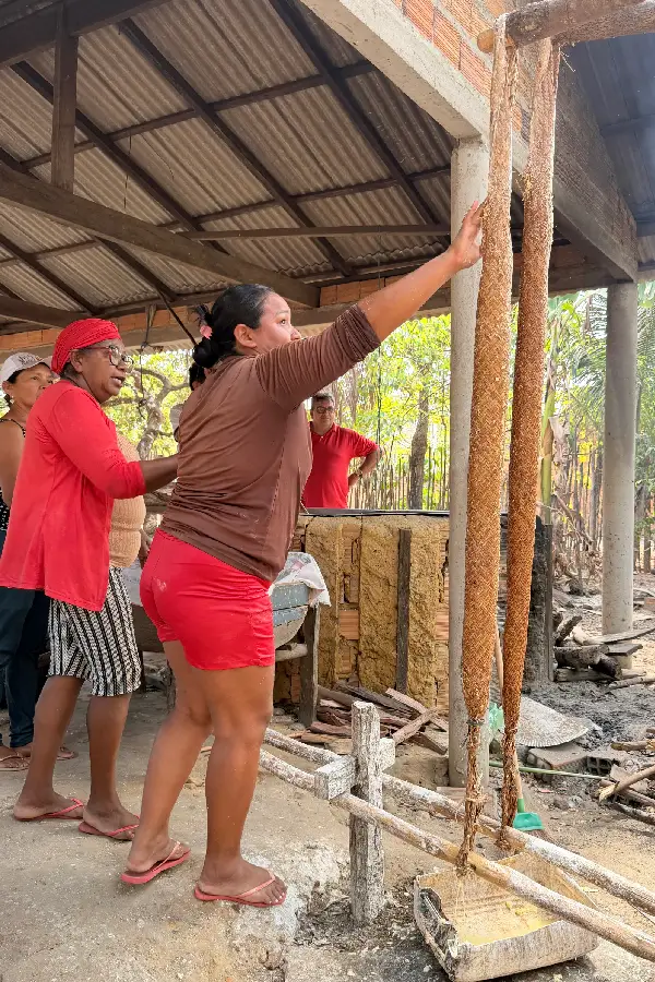 Após a colheita, as raízes de mandioca permanecem submersas no igarapé por cinco dias, processo essencial para que o tubérculo atinja a textura e o sabor necessários para o beiju pascoal. Foto: Miguel Picanço/Amazônia Latitude.