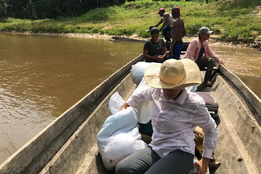 Arquitetura da floresta: o Centro Medicina da Floresta atua como ponto de convergência entre a preservação ambiental e a cura tradicional. Foto: Juliana Paula/Amazônia Latitude.