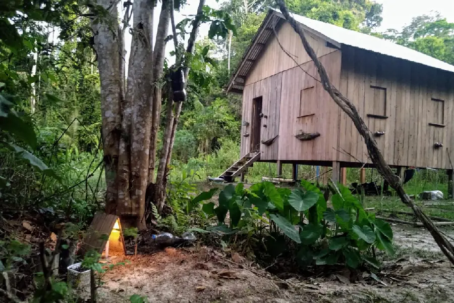 Arquitetura da floresta: o Centro Medicina da Floresta atua como ponto de convergência entre a preservação ambiental e a cura tradicional. Foto: Juliana Paula/Amazônia Latitude.