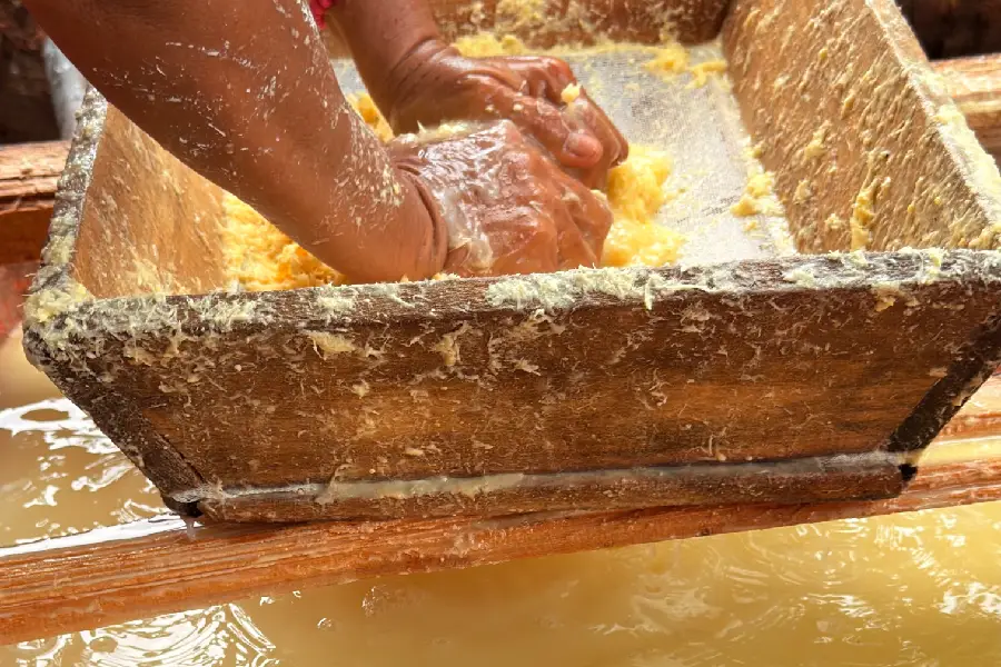 As mãos que nutrem: o esforço físico e a precisão técnica no manejo da massa de mandioca. Foto: Miguel Picanço/Amazônia Latitude.