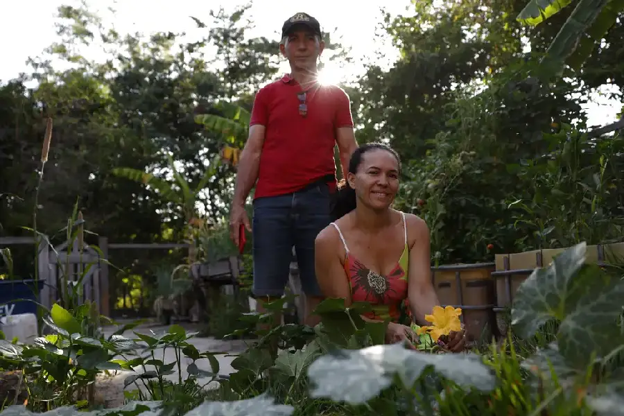 Agricultores em sua horta comunitária no Brejão, em Balsas. Para eles, a proteção do território é a garantia de uma mesa sem veneno. Foto Fernando Frazão/Agência Brasil.