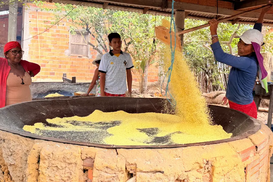 O pão da terra: o processo de torrar a farinha no forno de barro, onde o calor transforma a raiz em sustento democrático. Foto: Miguel Picanço/Amazônia Latitude.