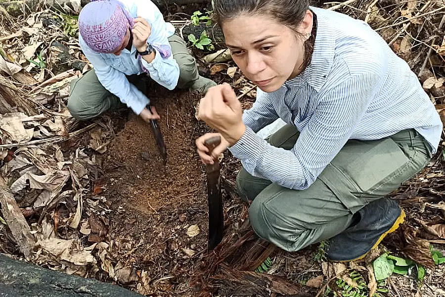Observação participante: a troca de saberes entre pesquisadora e comunidade sobre o cultivo de espécies medicinais. Foto: Juliana Paula/Amazônia Latitude.