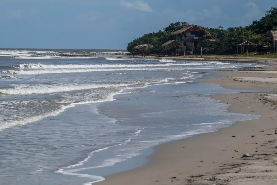 À beira-mar, as cabanas de palha integradas à vegetação nativa aguardam o ritmo das marés e a chegada dos visitantes, em um registro que exala a calmaria e a imensidão natural do litoral do Pará. Foto: Fabrício Vinhas/Amazônia Latitude.
