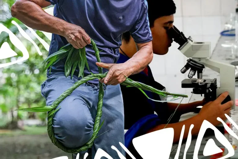 A disputa da bioeconomia na Amazônia exige governança e protagonismo para quem maneja a floresta viva na prática diária. Arte: Loan Bastos/Amazônia Latitude.