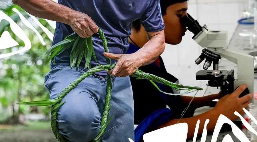 A disputa da bioeconomia na Amazônia exige governança e protagonismo para quem maneja a floresta viva na prática diária. Arte: Loan Bastos/Amazônia Latitude.