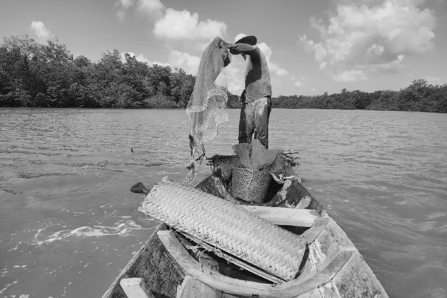 A técnica como prolongamento do corpo. De pé na proa da canoa, o pescador performa o lançamento da rede, em um campo de forças moldado pelo vento e pela correnteza. Foto: Miguel Picanço/Amazônia Latitude.
