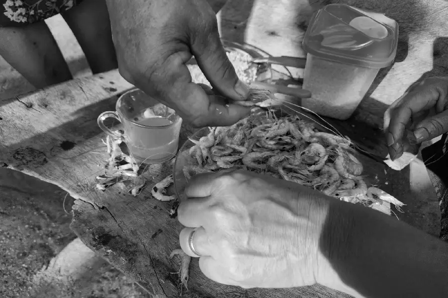 Amigos, parentes e vizinhos se aproximam ao redor do canteiro. A hora da virada atua como um chamado coletivo, onde a presença de cada um celebra os vínculos locais. Foto: Miguel Picanço/Amazônia Latitude.