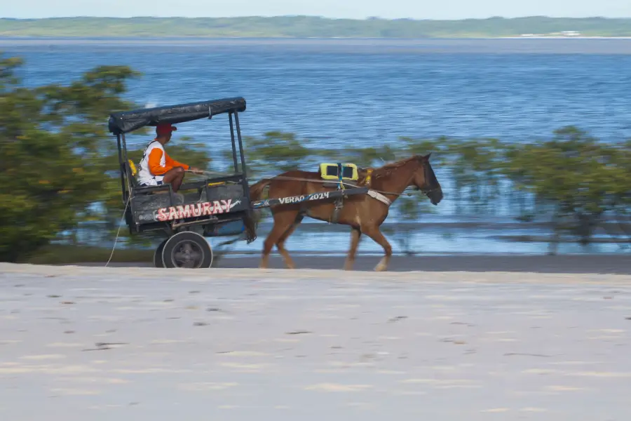 O cotidiano do transporte local caminha lado a lado com a paisagem natural dos mangues e o azul profundo do oceano. Foto: Oswaldo Forte/Amazônia Latitude.