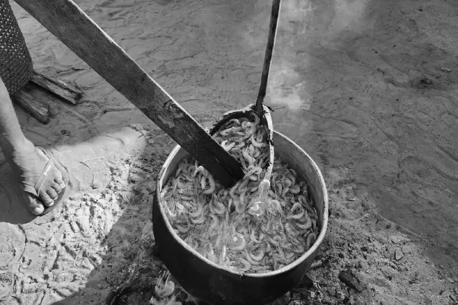 Performando a virada com a paleta de madeira. O ato de mexer o crustáceo na lata faz o que estava embaixo vir para cima, indicando o ponto exato da partilha. Foto: Miguel Picanço/Amazônia Latitude.