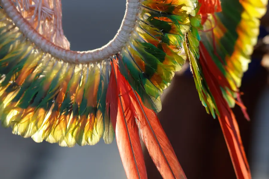 Detalhe das plumas ornamentais em cocar tradicional, evidenciando o apuro estético das indumentárias. Foto: Oswaldo Forte / Amazônia Latitude.