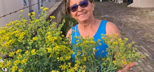 Dona Cléia, zeladora de santo em Manaus (AM), posa ao lado de um pé de arruda florido. Ela compartilha as memórias, os preceitos e as práticas de cura que resistem na costura profunda entre os corpos e os territórios das águas.