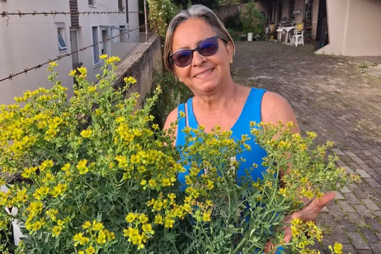 Dona Cléia, zeladora de santo em Manaus (AM), posa ao lado de um pé de arruda florido. Ela compartilha as memórias, os preceitos e as práticas de cura que resistem na costura profunda entre os corpos e os territórios das águas.