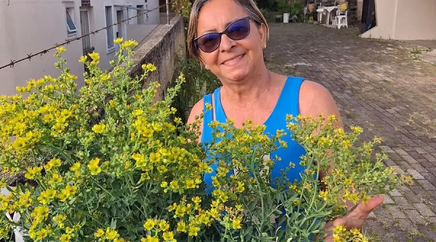 Dona Cléia, zeladora de santo em Manaus (AM), posa ao lado de um pé de arruda florido. Ela compartilha as memórias, os preceitos e as práticas de cura que resistem na costura profunda entre os corpos e os territórios das águas.
